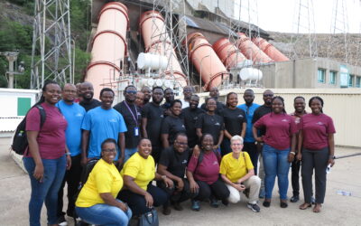 Modeling the Integration of Hydropower into Modern Energy Systems for Africa