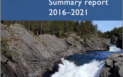 Summary report 2016-2021