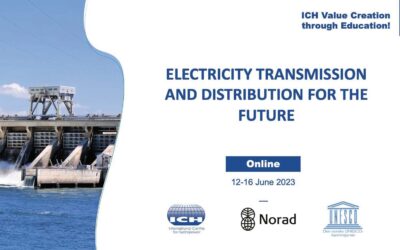 Electricity Transmission and Distribution for the Future